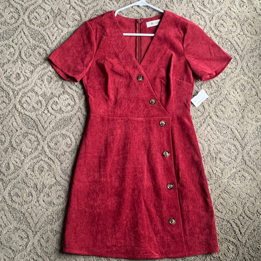 NWT The Impeccable Pig Corduroy dress